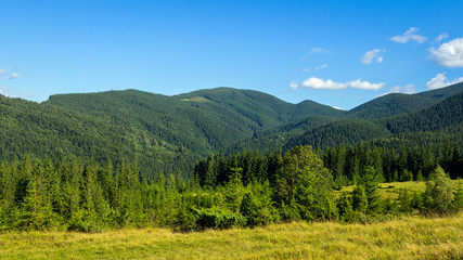 Fototapeta na wymiar Picturesque Carpathian mountains, nature landscape in summer, Ukraine.