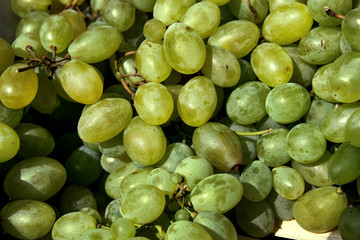Organic fresh white grapes