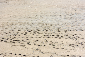 Human footprints on the sand of the sea bottom