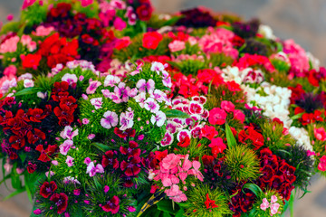 Obraz na płótnie Canvas Beautiful carnation flowers at an european market
