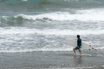 Surfer entering the sea with his board