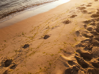 Sandstrand