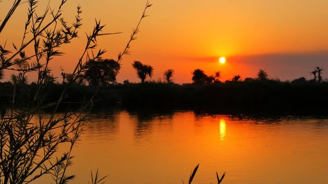 wide panorama of okavango river at the sunset warm color botswana africa 