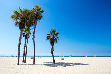 Obraz na płótnie Canvas Santa Monica Beach Scene
