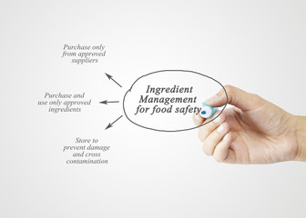 Hand writing element of  Ingredient Management for Food Safety for use in manufacturing.