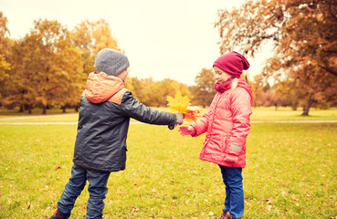 little boy giving autumn maple leaves to girl