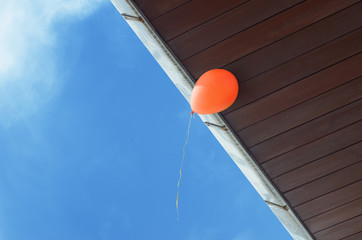 Hurry up, last chance. Balloon is about to fly away.