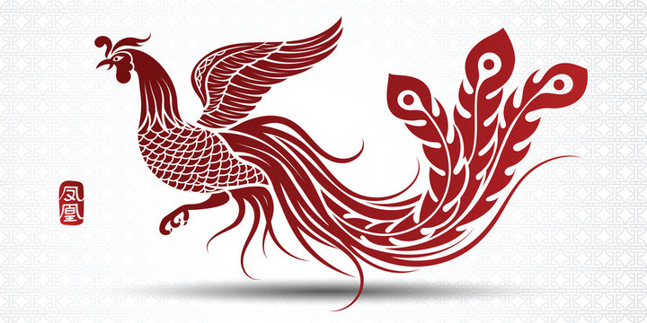 Chinese phoenix vector