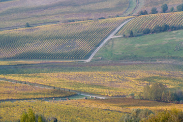 tuscany landscape near siena