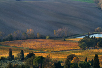 Fototapeta premium tuscany landscape in early fall