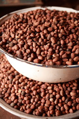 Fototapeta premium Seeds of shea tree Mubanayili Gana 