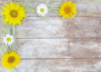Obraz premium Sunflower Daisy Moss Border on wood background with copy space.