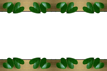 Fototapeta premium Heart shaped leaves as a border on white background