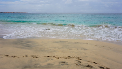 tropical beach scene