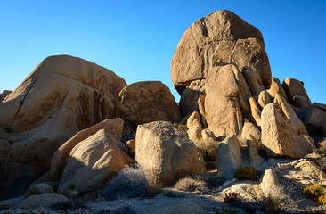 Joshua Tree National Park