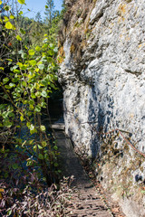 sunny tourist trail in the woods in autumn