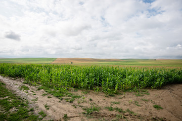 Obraz premium sunny tourist trail in the woods in autumn