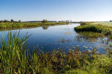 Starorzecze Narwi © podlaski49