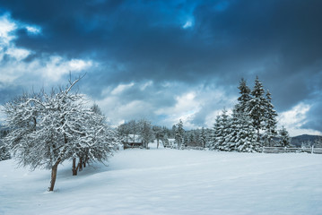 Carpathian winter village