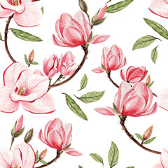 Beautiful watercolor pattern with flowers magnolia . illustrations
