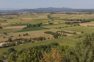 Naklejka premium Landschaft im Schwarzwald