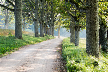 Fototapeta premium Country Road