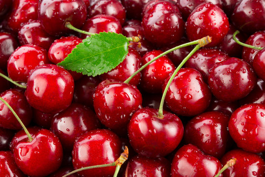 Cherry. Fresh organic berries macro. Fruit background