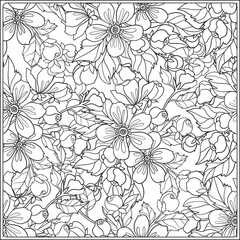 Apple tree flowers pattern. Good for coloring book for adult and older children or like greeting card for birthday, Valentines day or wedding. Vector illustration. Outline drawing.