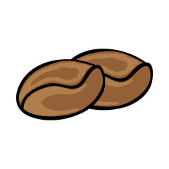 brown coffee beans. natural cafe plant. vector illustration