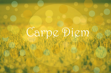 Carpe Diem message 