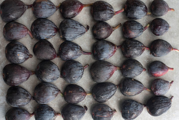 Rows of fresh figs , background