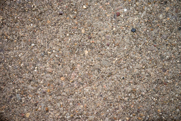 Roughcast / Roughcast on a wall