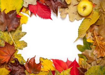 Frame of beautiful autumn fallen leaves. In corner of apple