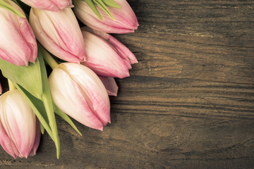 Vintage faded pink tulips. Flowers isolated on wood background with space for text.