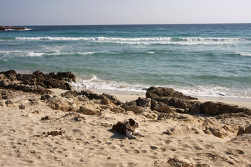Felsenk&uuml;sten am Mittelmeer