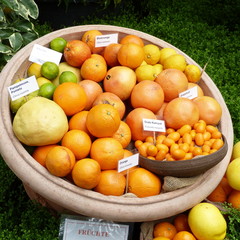 Schale mit Zitrusfr&uuml;chten