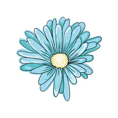 beautiful floral blue blossom. flower plant. vector illustration 