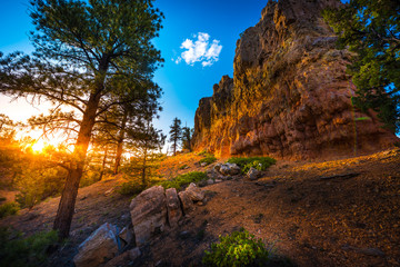 Red Canyon bei Bryce bei Sonnenuntergang