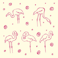 Flamingo set