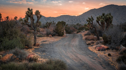 Sunset on the Mohave Desert landscape in Yucca Valley, California