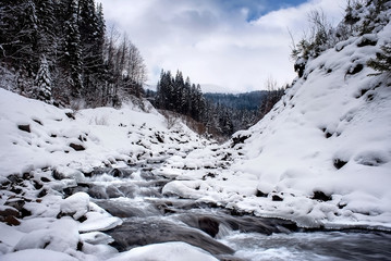tree covered by frost and mountain view on sunrise. natural winter background