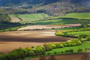 beautiful rural landscape with trees and  mountains on horizon