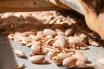 Almonds in the lift for the cracking process
