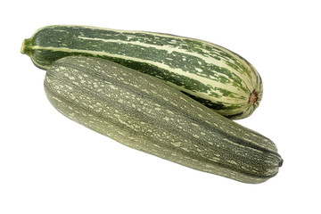 Fresh vegetable marrow. zucchini