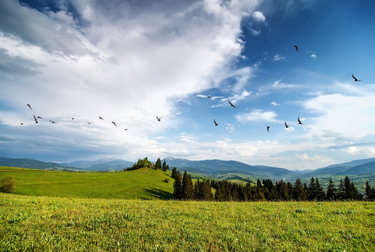 beautiful rural landscape with  mountain view on horizon  and blue cloudy sky