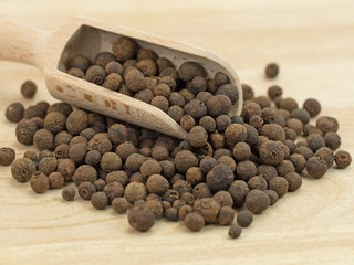 Piment, Pimenta dioica