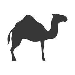camel animal. dromedary africa desert silhouette. vector illustration