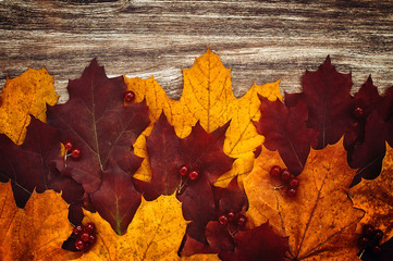 colorful yellow and red leaves on wooden desk. vintage  autumn background