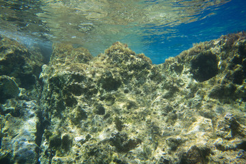 Fototapeta na wymiar Wave under Water