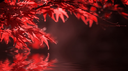 red leaves on tree branch. natural autumn background - Powered by Adobe